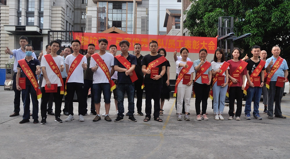 Professional service team21212